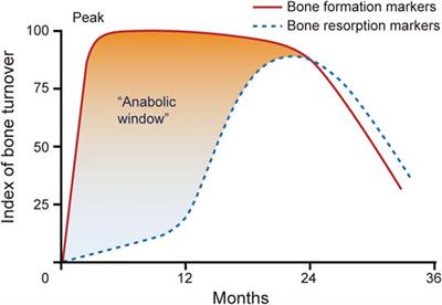 Combination Therapy of PTH and Antiresorptive Drugs on Osteoporosis: A Review of Treatment Alternatives